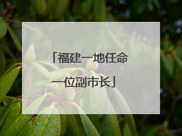 福建一地任命一位副市长