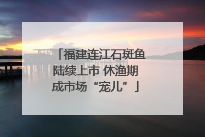 福建连江石斑鱼陆续上市 休渔期成市场“宠儿”