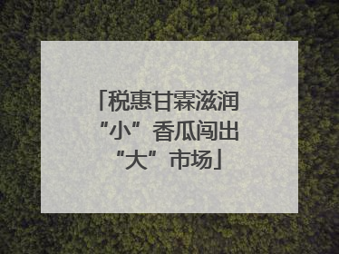 税惠甘霖滋润“小”香瓜闯出“大”市场