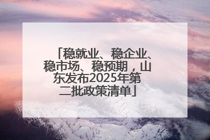 稳就业、稳企业、稳市场、稳预期，山东发布2025年第二批政策清单
