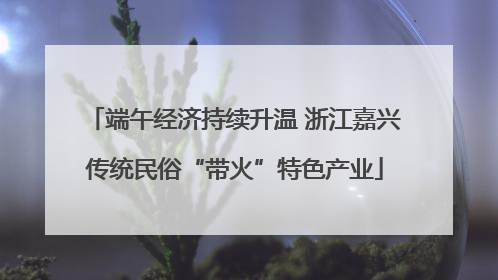 端午经济持续升温 浙江嘉兴传统民俗“带火”特色产业