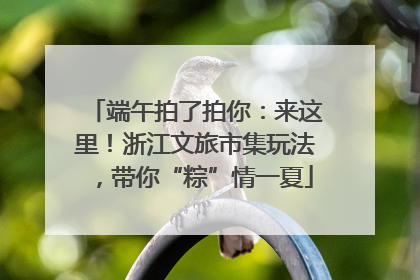 端午拍了拍你：来这里！浙江文旅市集玩法，带你“粽”情一夏