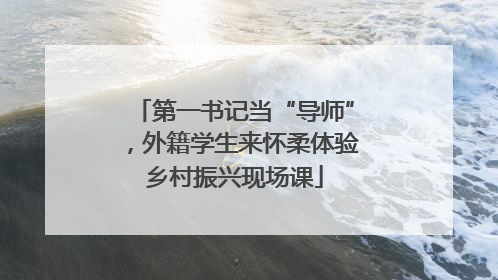 第一书记当“导师”，外籍学生来怀柔体验乡村振兴现场课