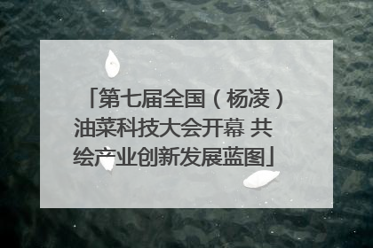 第七届全国（杨凌）油菜科技大会开幕 共绘产业创新发展蓝图