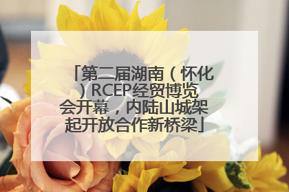 第二届湖南（怀化）RCEP经贸博览会开幕，内陆山城架起开放合作新桥梁