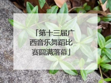 第十三届广西音乐舞蹈比赛圆满落幕