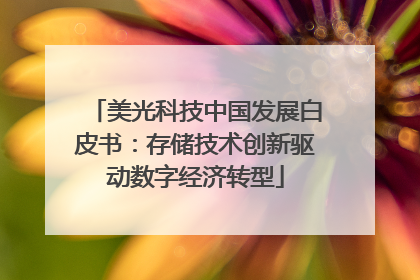 美光科技中国发展白皮书：存储技术创新驱动数字经济转型