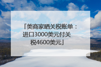 美商家晒关税账单：进口3000美元付关税4600美元