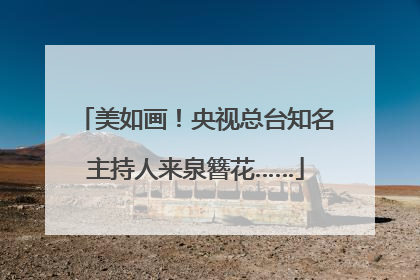 美如画！央视总台知名主持人来泉簪花……