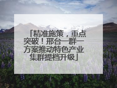 精准施策，重点突破！邢台一群一方案推动特色产业集群提档升级