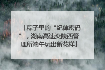 粽子里的“纪律密码”，湖南高速炎陵西管理所端午玩出新花样