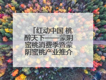 红动中国 桃醉天下——蒙阴蜜桃消费季暨蒙阴蜜桃产业推介会成功举办