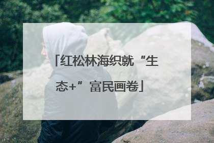 红松林海织就“生态+”富民画卷