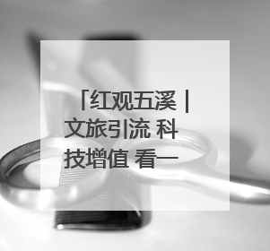 红观五溪｜文旅引流 科技增值 看一颗杨梅在靖州的“商业觉醒”