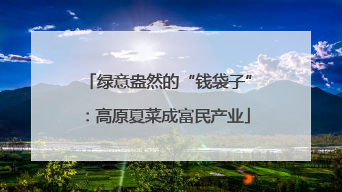 绿意盎然的“钱袋子”：高原夏菜成富民产业