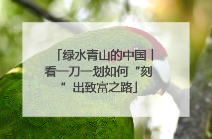 绿水青山的中国丨看一刀一划如何“刻”出致富之路