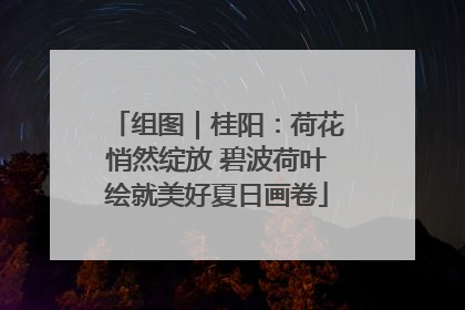组图｜桂阳：荷花悄然绽放 碧波荷叶绘就美好夏日画卷
