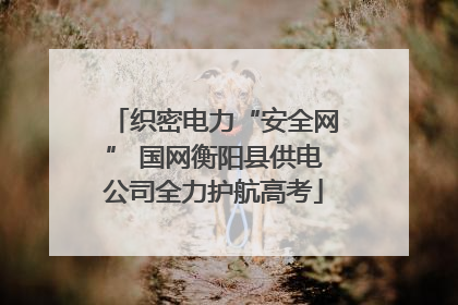 织密电力“安全网” 国网衡阳县供电公司全力护航高考