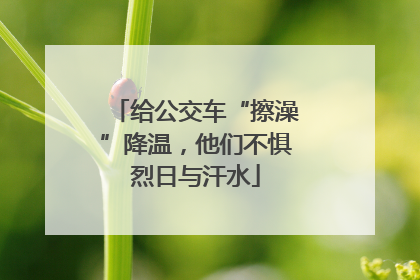 给公交车“擦澡”降温，他们不惧烈日与汗水