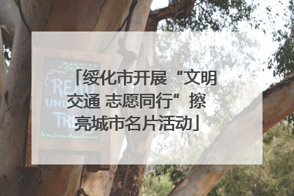 绥化市开展“文明交通 志愿同行”擦亮城市名片活动