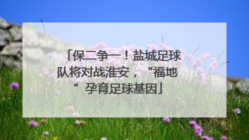 保二争一！盐城足球队将对战淮安，“福地”孕育足球基因