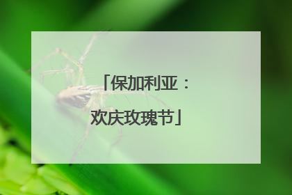 保加利亚：欢庆玫瑰节