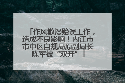 作风散漫贻误工作，造成不良影响！内江市市中区自规局原副局长陈军被“双开”