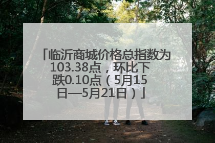 临沂商城价格总指数为103.38点，环比下跌0.10点（5月15日—5月21日）
