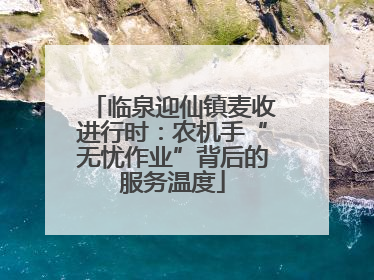 临泉迎仙镇麦收进行时：农机手“无忧作业”背后的服务温度