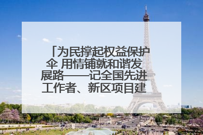 为民撑起权益保护伞 用情铺就和谐发展路——记全国先进工作者、新区项目建设中心干部卢小勇