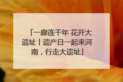 一廊连千年 花开大遗址丨遗产日一起来河南，行走大遗址