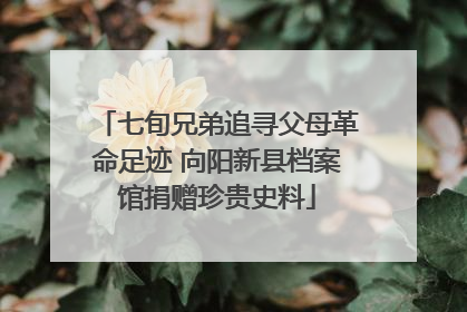 七旬兄弟追寻父母革命足迹 向阳新县档案馆捐赠珍贵史料
