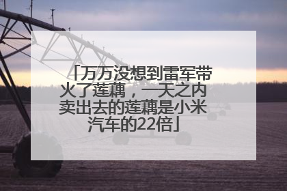 万万没想到雷军带火了莲藕，一天之内卖出去的莲藕是小米汽车的22倍