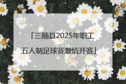 三穗县2025年职工五人制足球赛激情开赛