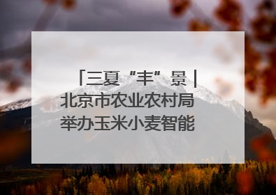 三夏“丰”景｜北京市农业农村局举办玉米小麦智能农机装备推广“田间日”活动
