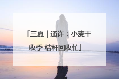 三夏｜通许：小麦丰收季 秸秆回收忙