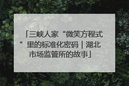 三峡人家“微笑方程式”里的标准化密码｜湖北市场监管所的故事
