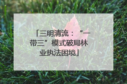 三明清流：“一带三”模式破局林业执法困境