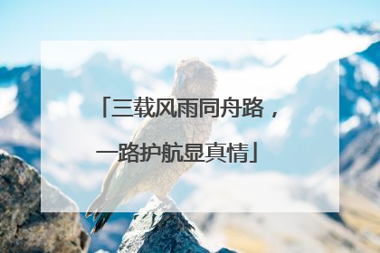 三载风雨同舟路，一路护航显真情