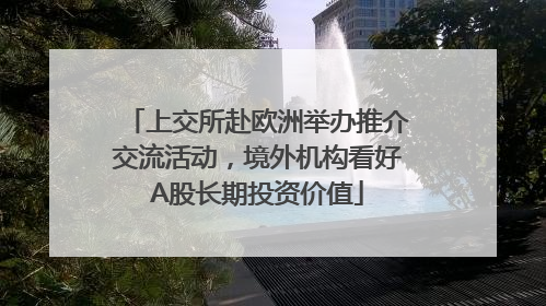 上交所赴欧洲举办推介交流活动，境外机构看好A股长期投资价值