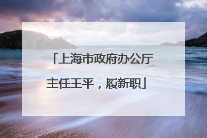 上海市政府办公厅主任王平，履新职