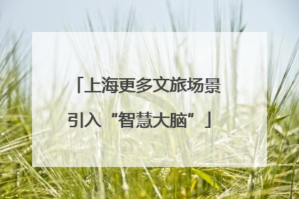 上海更多文旅场景引入“智慧大脑”