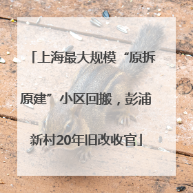 上海最大规模“原拆原建”小区回搬，彭浦新村20年旧改收官