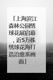 上海滨江森林公园绣球花展启幕，近5万株绣球花海打造治愈系画面
