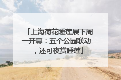 上海荷花睡莲展下周一开幕：五个公园联动，还可夜赏睡莲