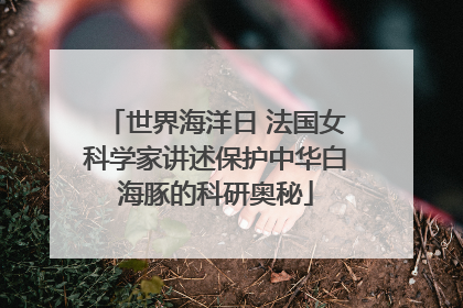世界海洋日 法国女科学家讲述保护中华白海豚的科研奥秘