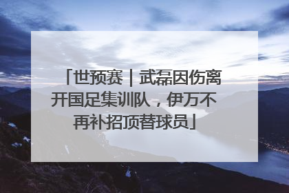 世预赛｜武磊因伤离开国足集训队，伊万不再补招顶替球员