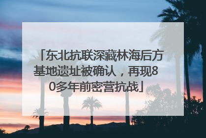 东北抗联深藏林海后方基地遗址被确认，再现80多年前密营抗战