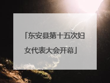 东安县第十五次妇女代表大会开幕