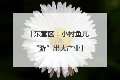 东营区：小村鱼儿“游”出大产业